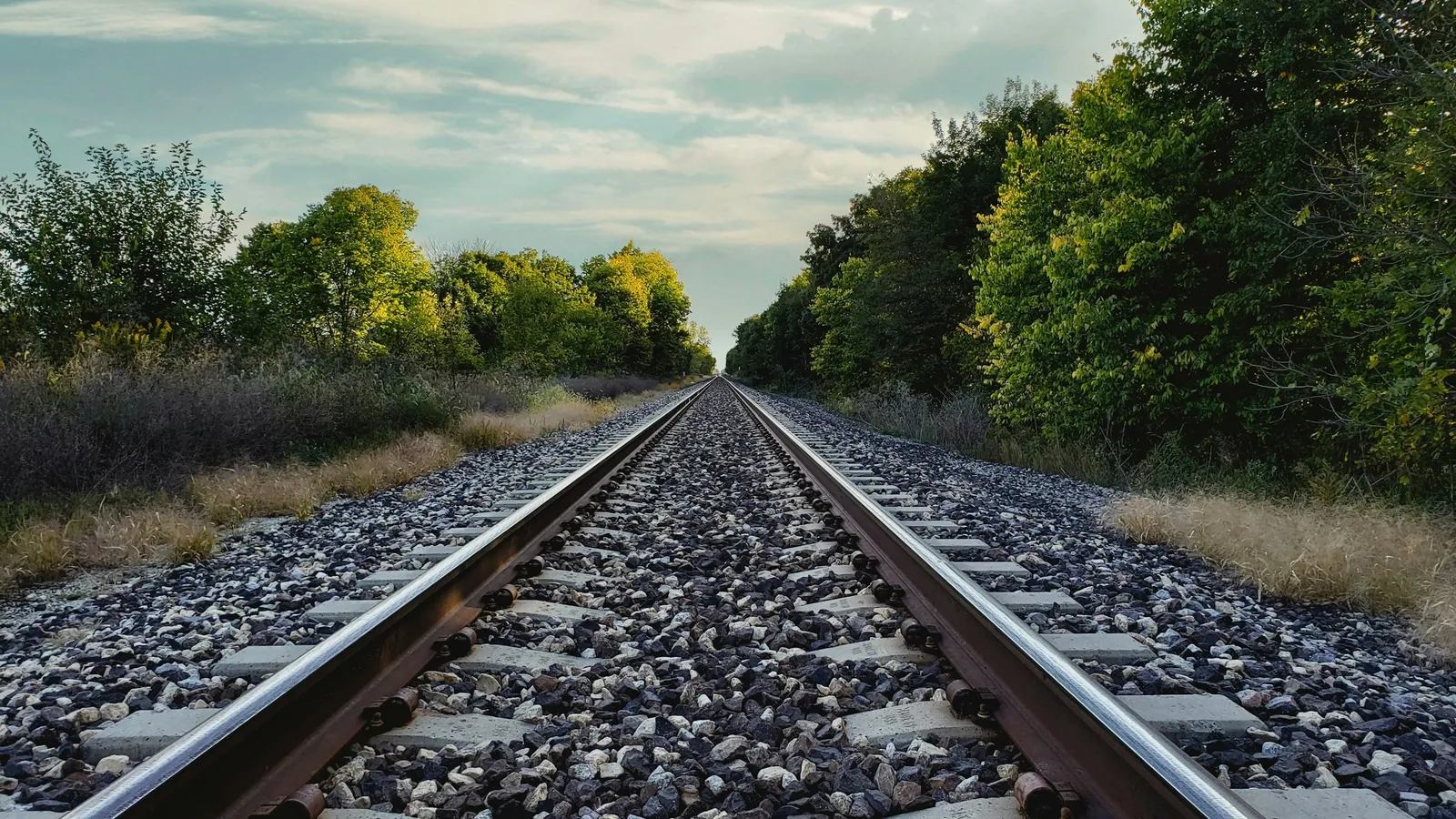 Railway tracks stretching to the horizon