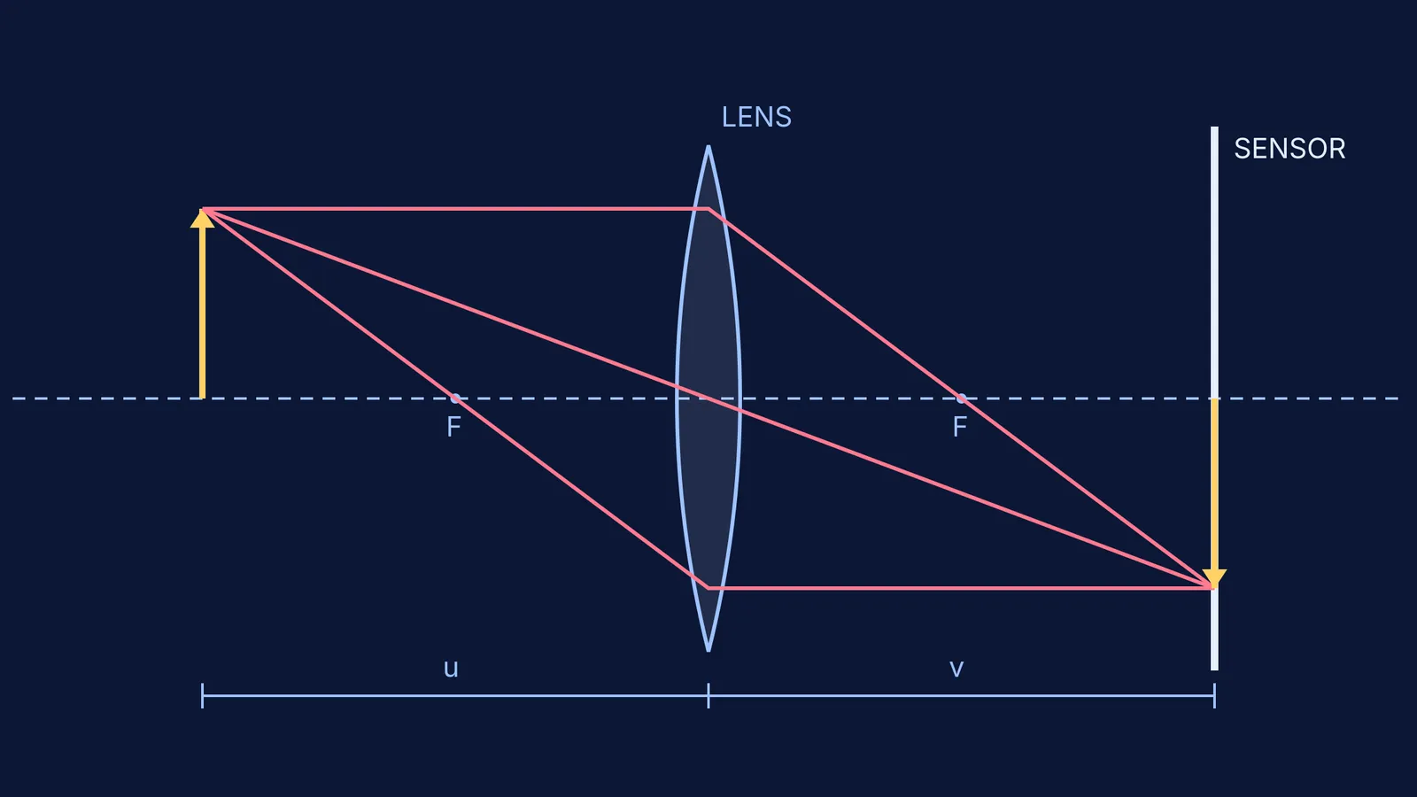 Ray diagram of a camera lens focusing light onto a sensor
