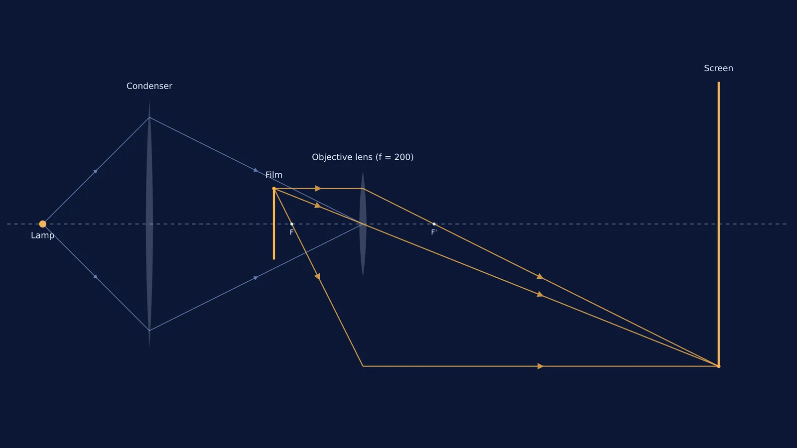 Ray diagram of a cinematograph projector showing the lamp, condenser, film, objective lens, and screen.