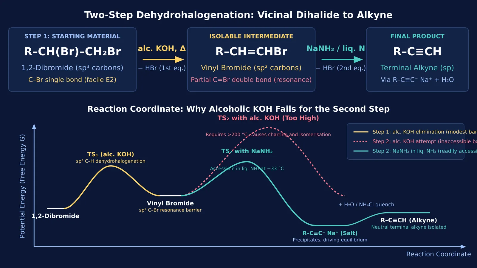Reaction coordinate and two-step mechanism for alkyne synthesis from vicinal dihalide.