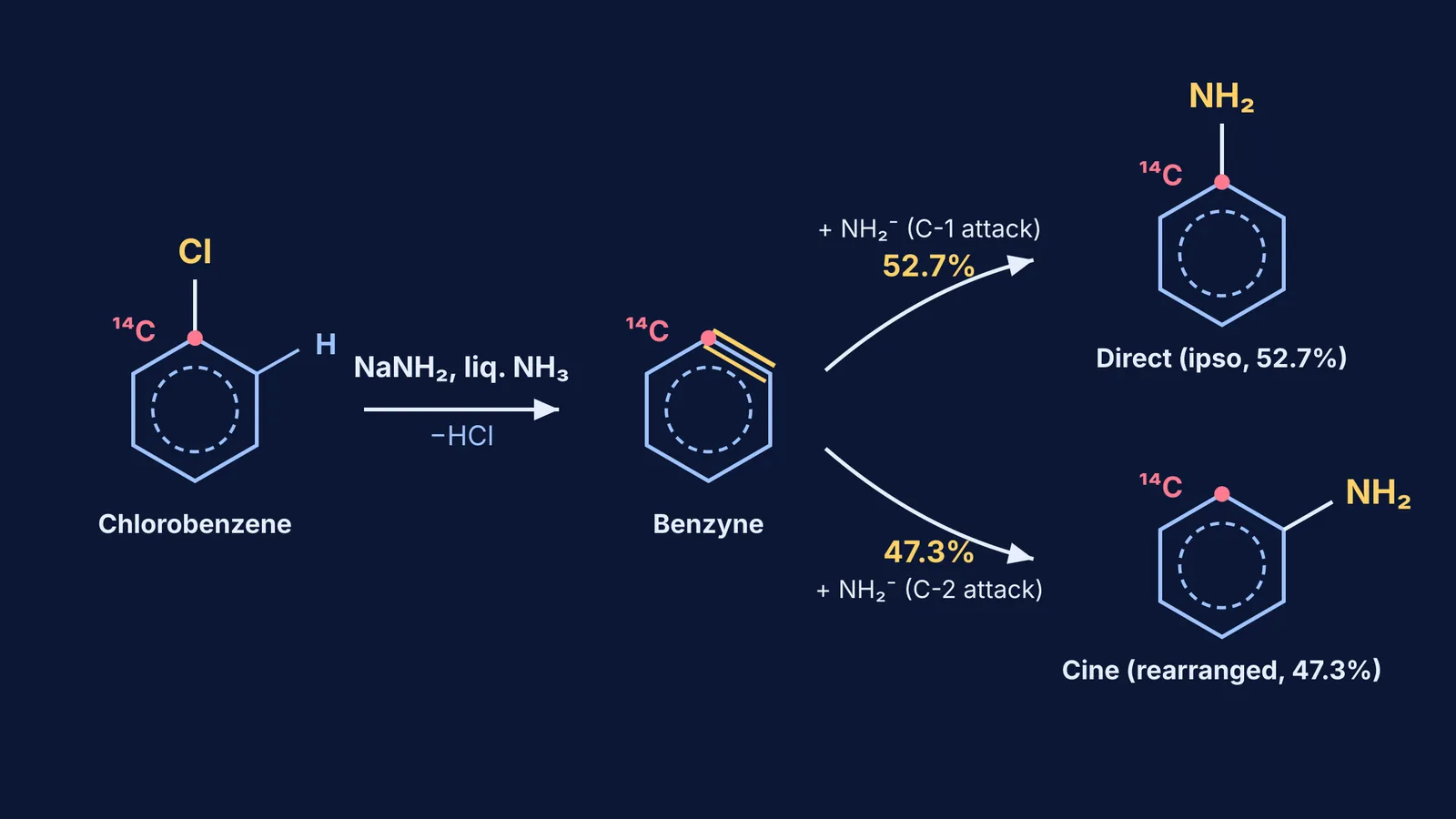 Reaction diagram of benzyne elimination-addition yielding direct and cine substituted aniline products