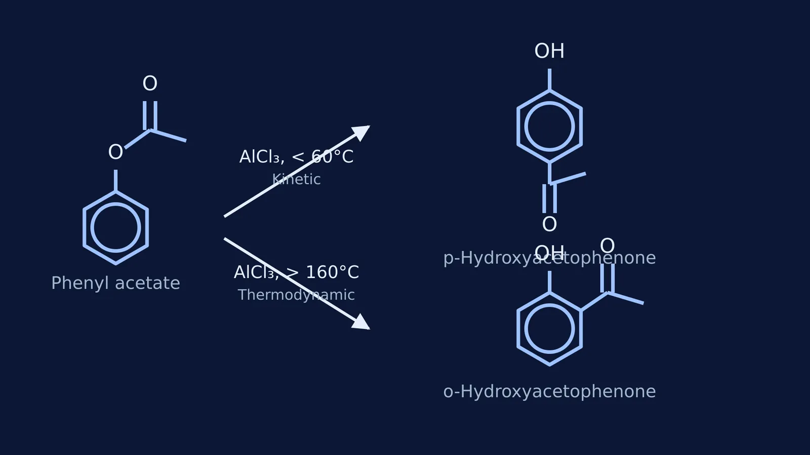 Reaction diagram of Fries rearrangement forming p-hydroxyacetophenone and o-hydroxyacetophenone