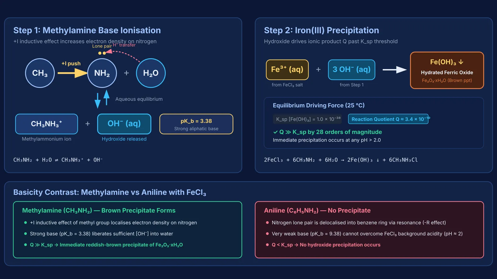 Reaction diagram of methylamine ionisation and ferric hydroxide precipitation with aniline contrast
