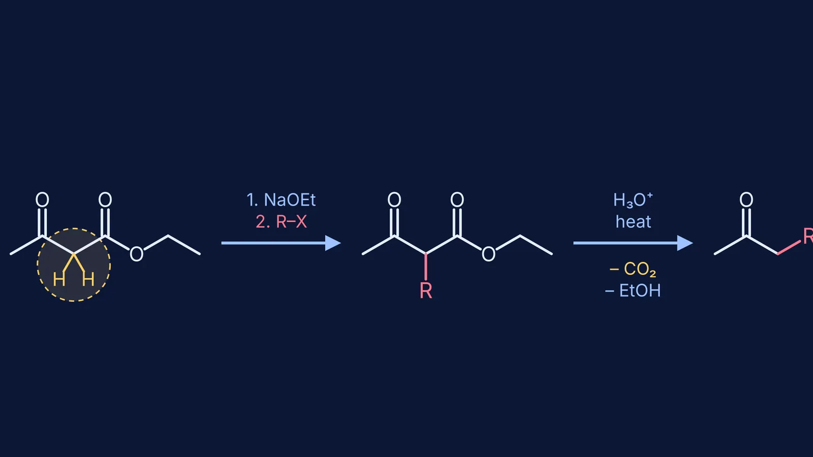 Reaction scheme turning ethyl acetoacetate into a methyl ketone via alkylation