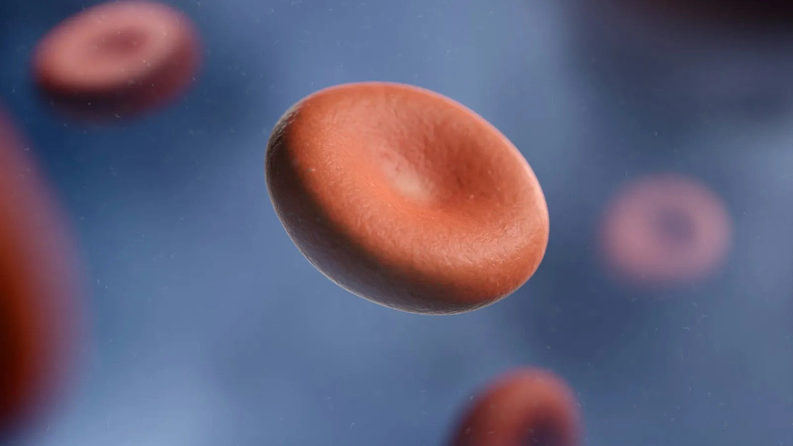 Red blood cells floating in a blue background