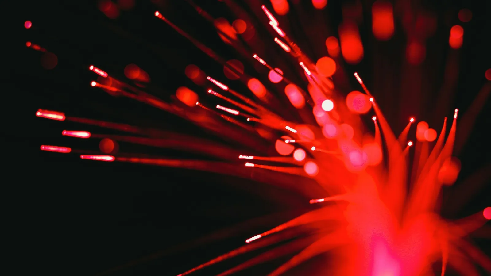 Red light glowing at the tips of optical fibres