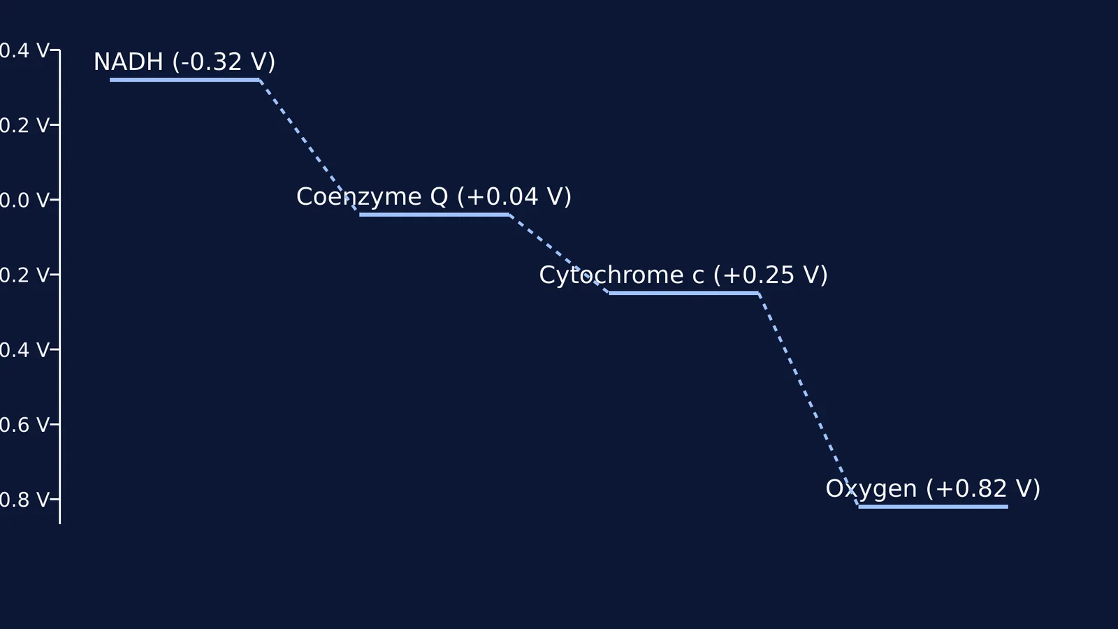 Reduction potential cascade from NADH to oxygen in the electron transport chain.