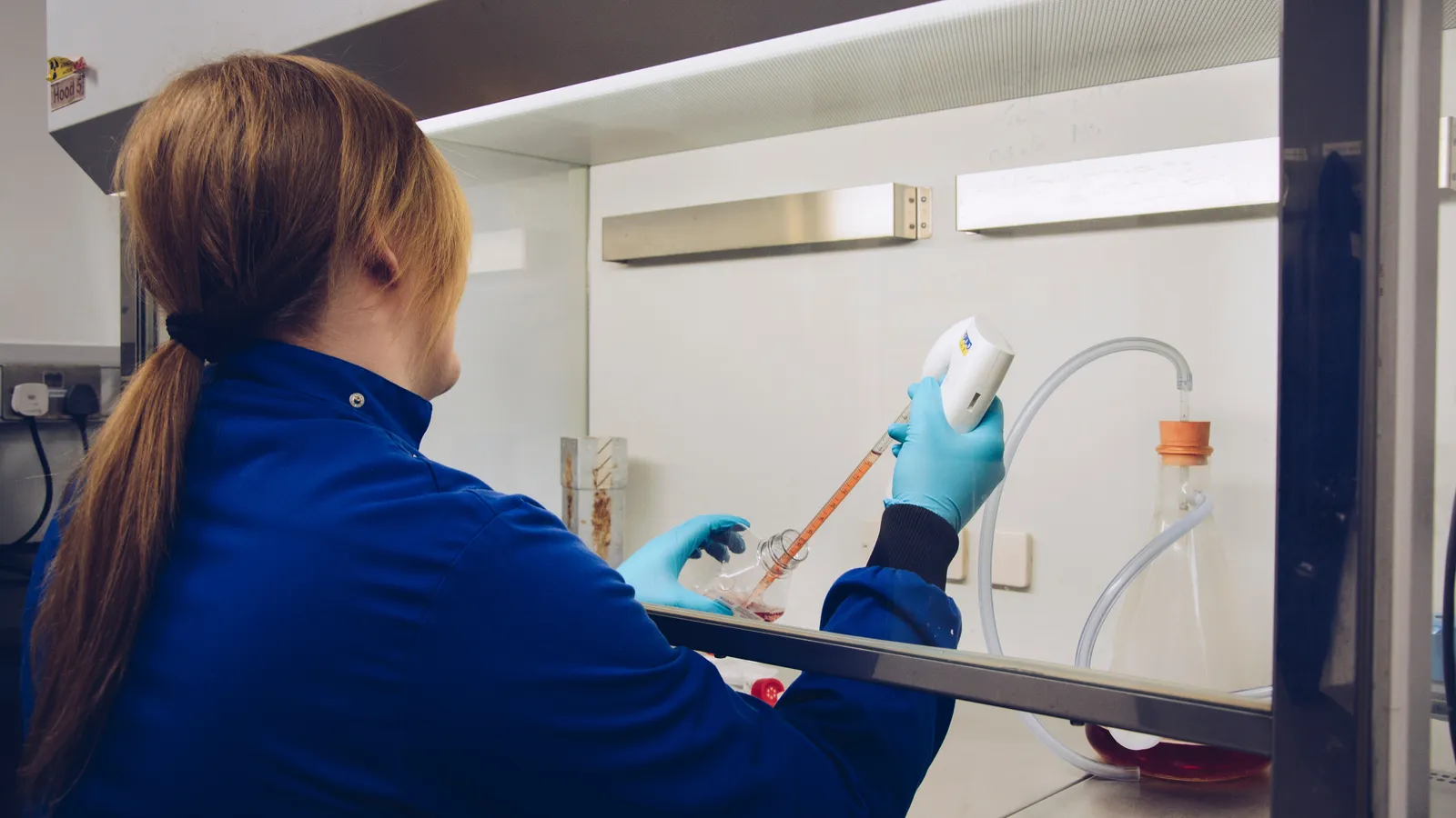 Researcher in gloves pipetting culture medium into a flask inside a safety cabinet