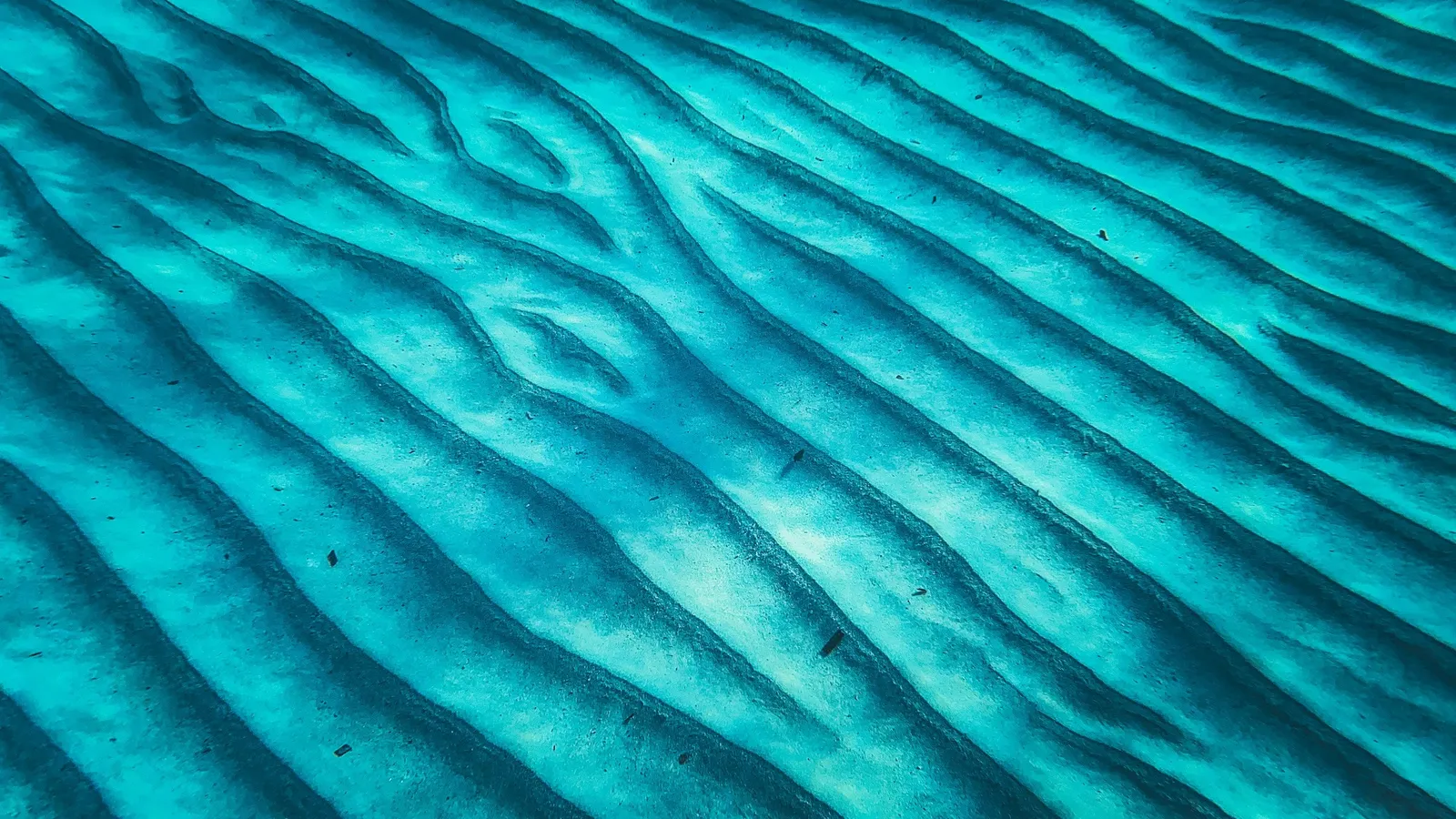 Ripples on a sandy seabed under clear blue water