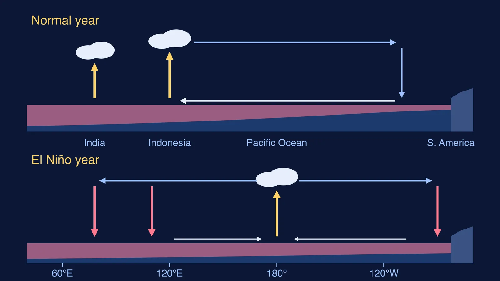 Rising and sinking air over India and the Pacific, normal versus El Niño year