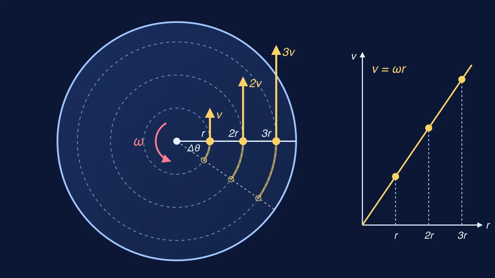 Rotating disc with points at r, 2r, 3r and velocity arrows v, 2v, 3v