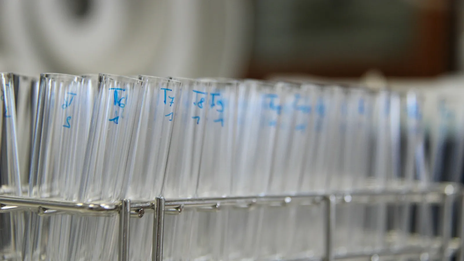 Rows of clear glass test tubes in a rack