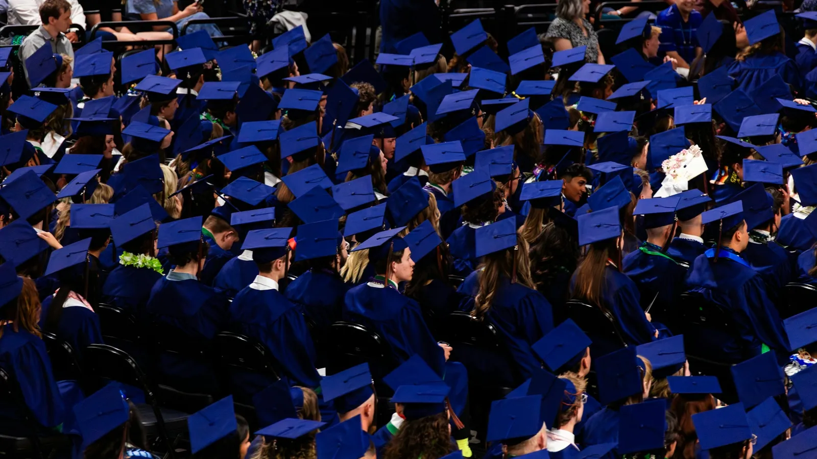 Rows of graduates in caps and gowns at a ceremony