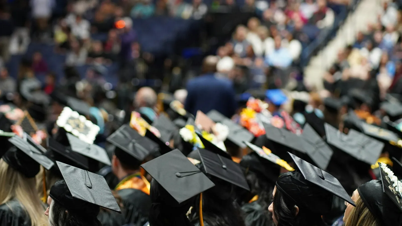 Rows of graduates in caps and gowns at a ceremony, seen from behind