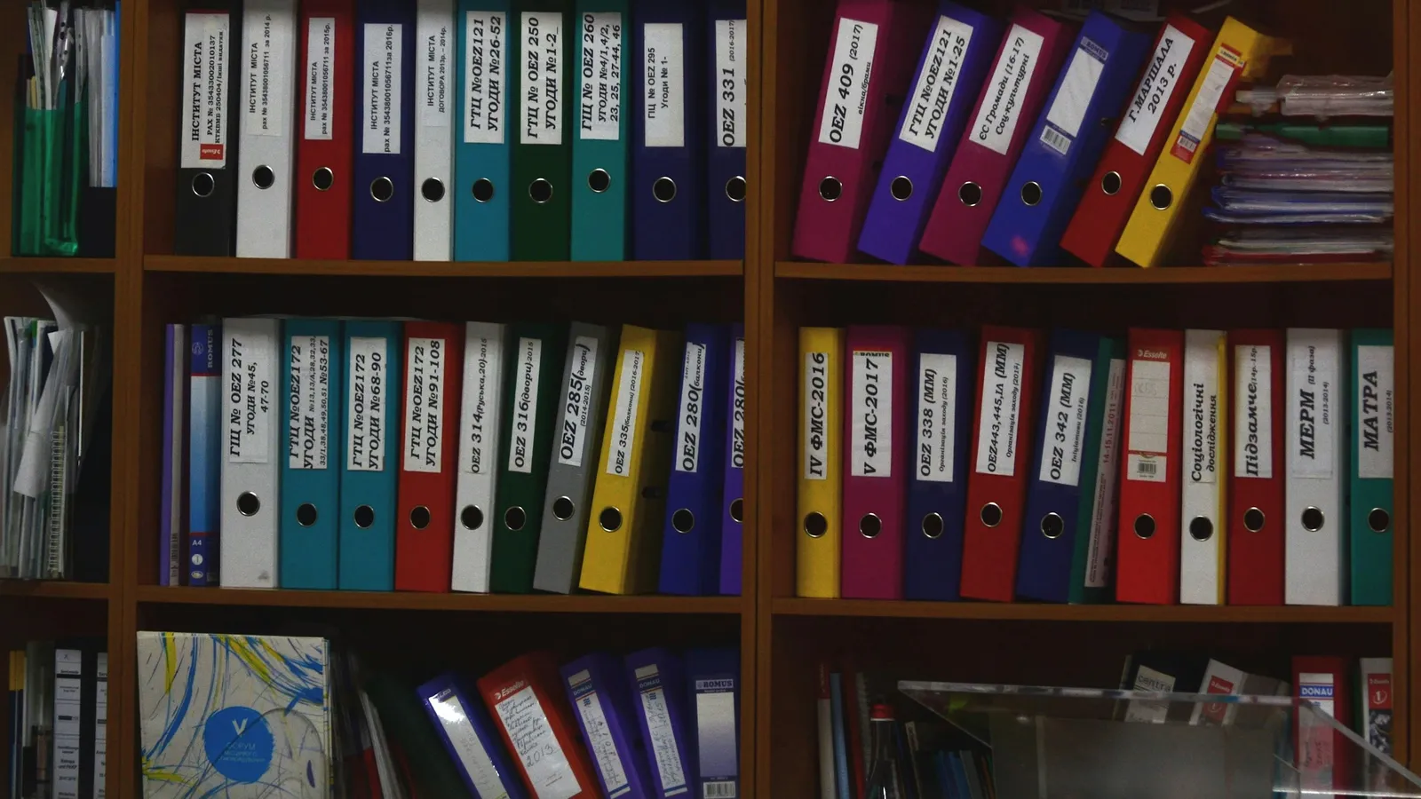 Rows of labelled ring binders on office shelves