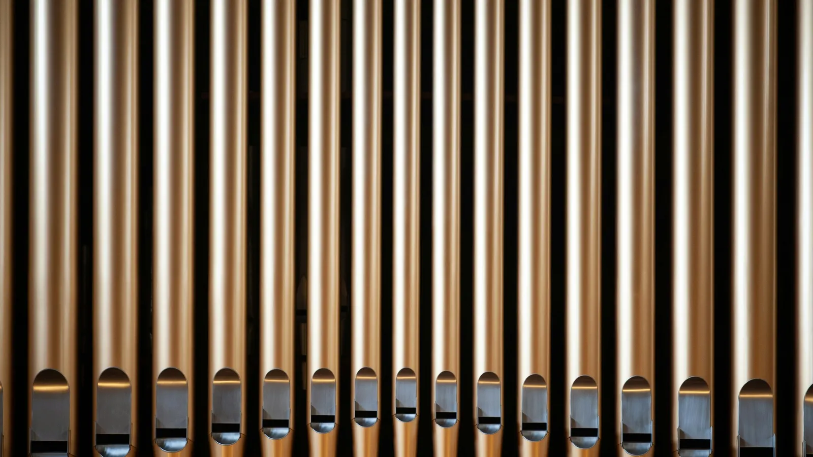 Rows of metal organ pipes
