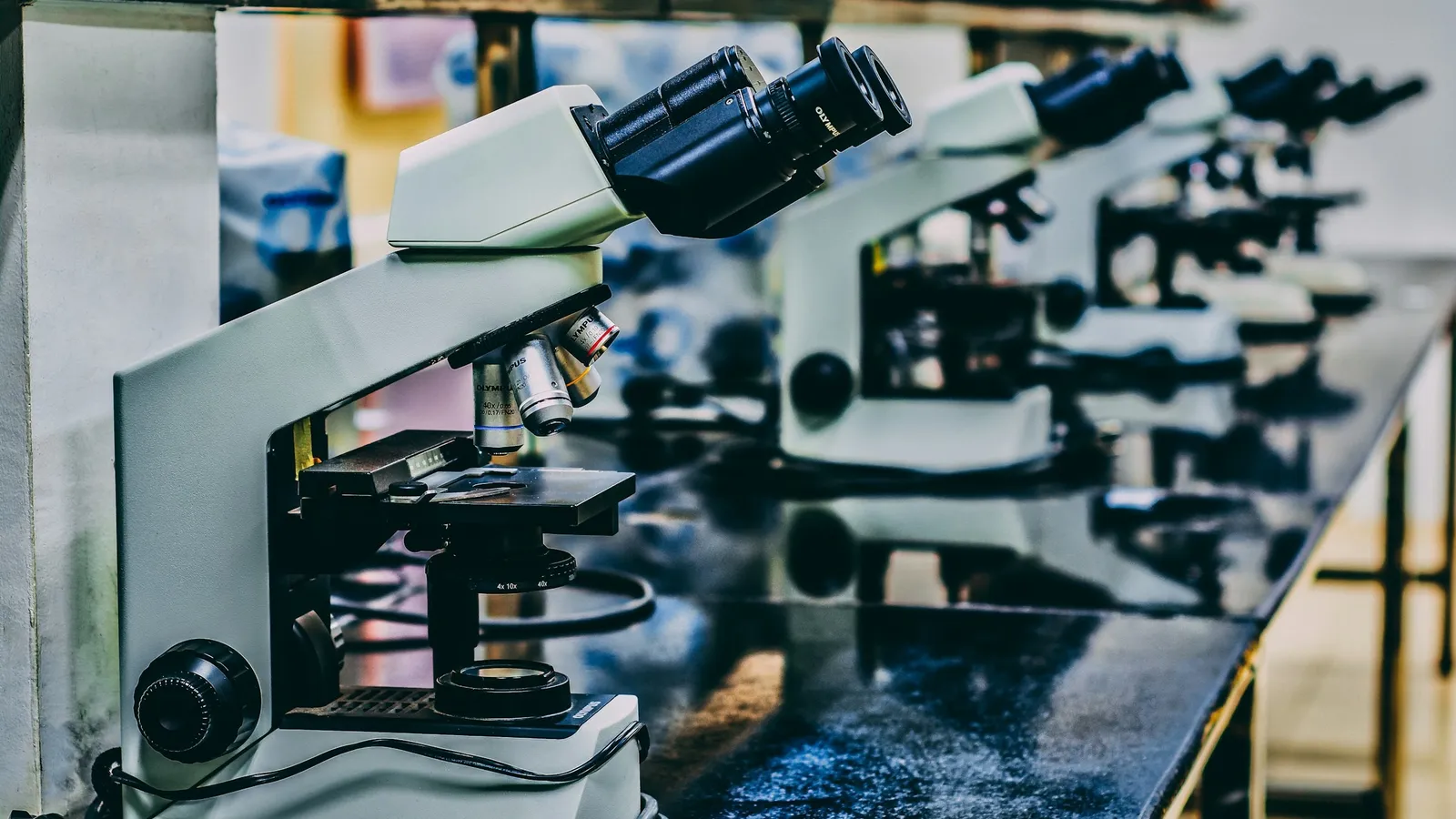 Rows of microscopes on a lab bench