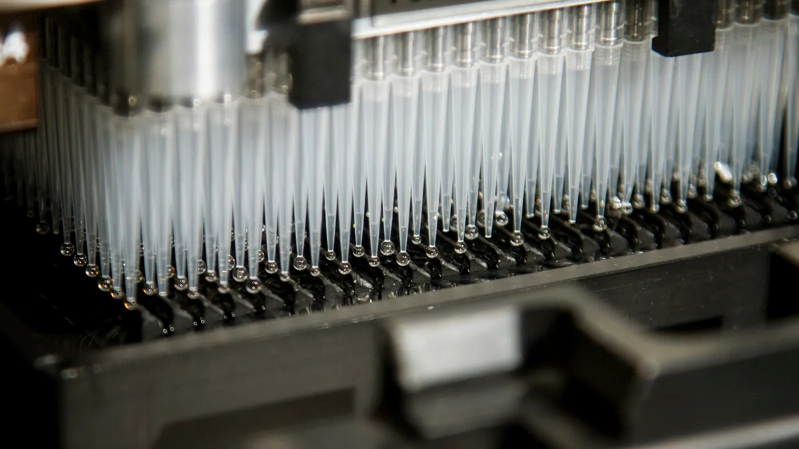Rows of pipette tips on an automated laboratory machine
