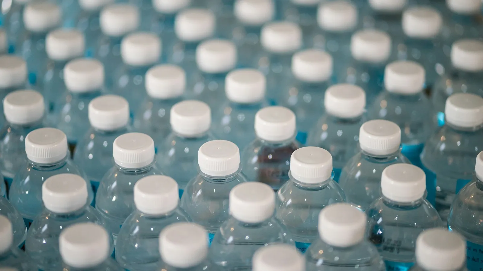 Rows of plastic bottles with white caps