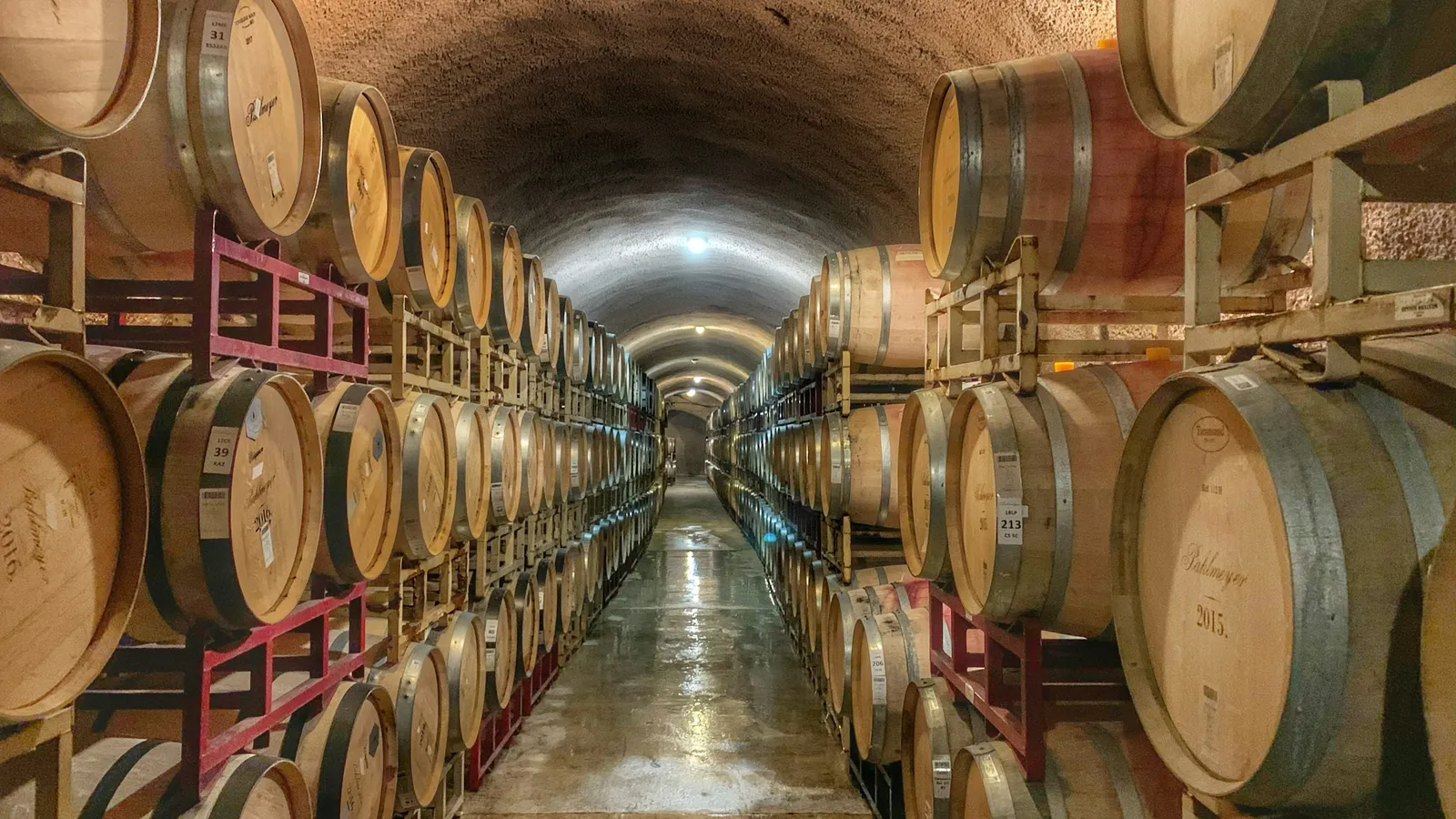 Rows of wine barrels lining an arched cellar