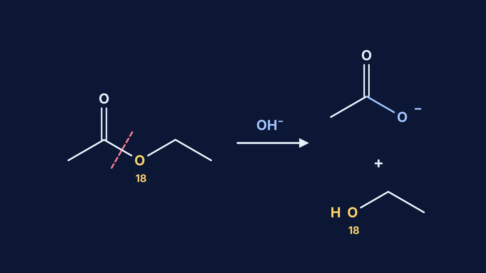 Saponification of 18O-labelled ethyl acetate, with the label ending up in ethanol