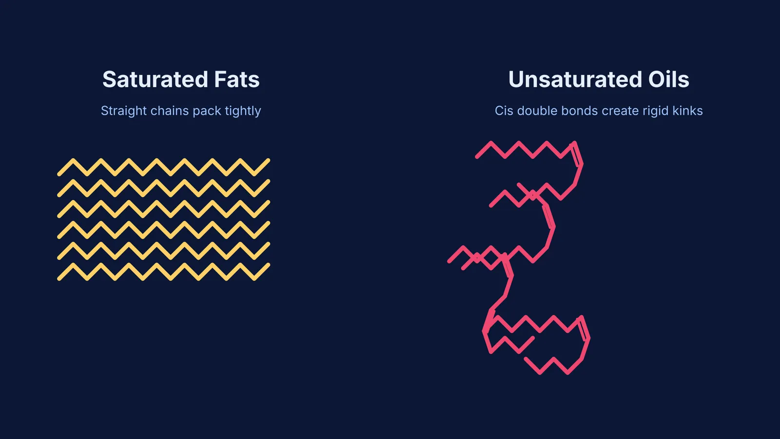 Saturated versus unsaturated fatty acid structures