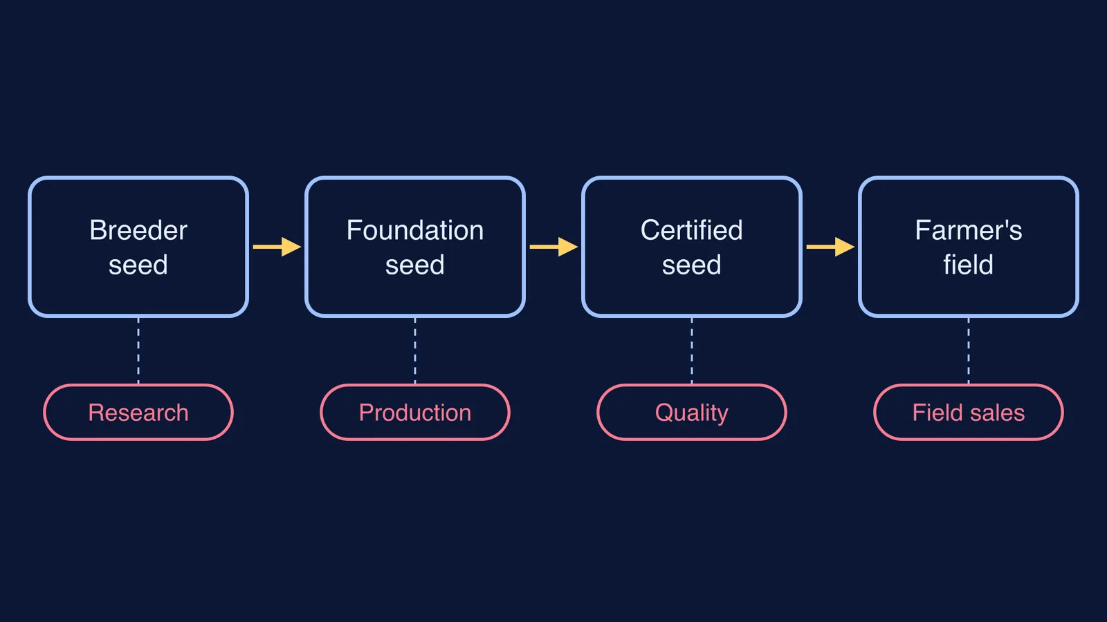 Seed chain from breeder to farmer, with the job family at each stage