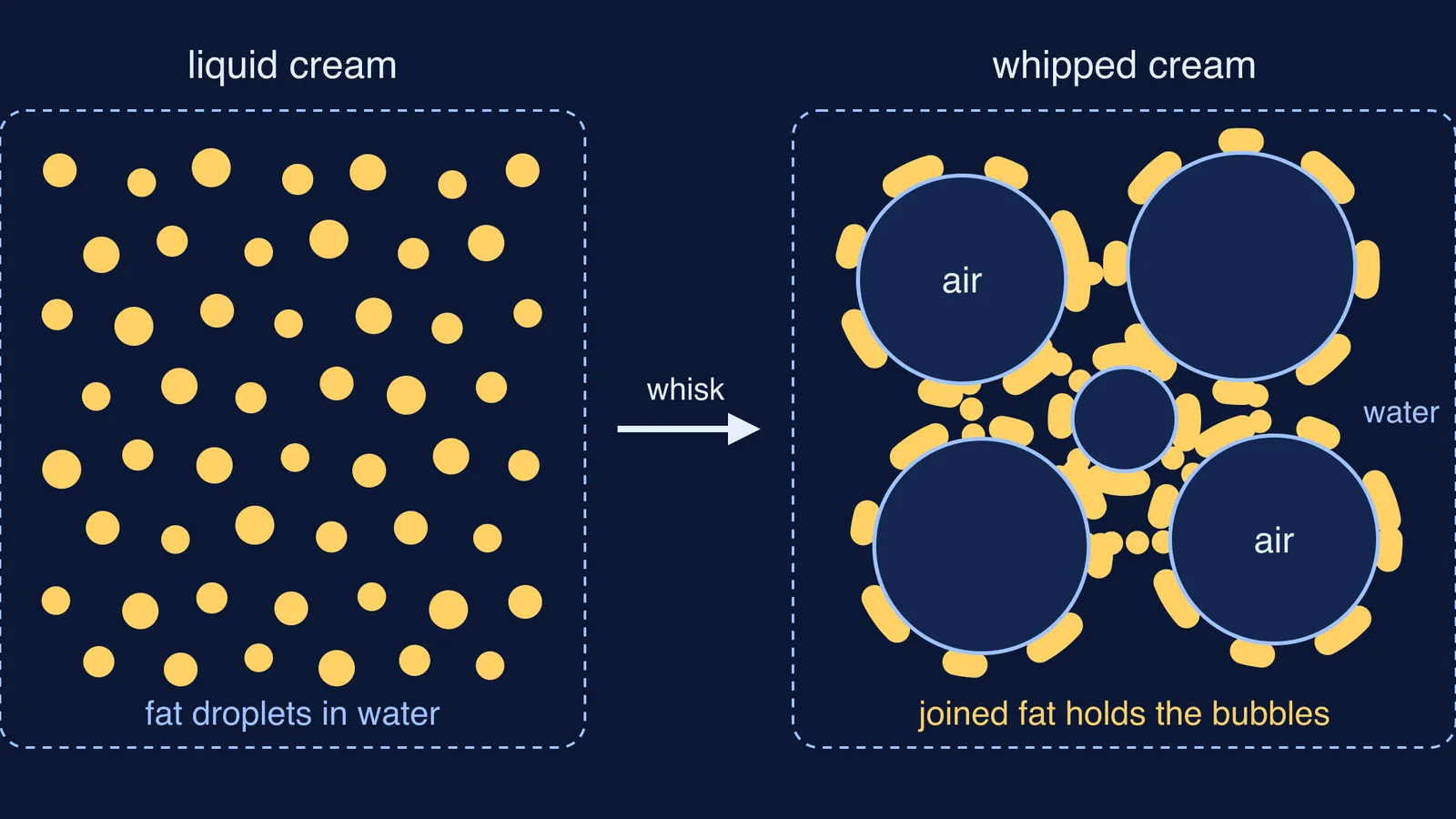 Separate fat droplets in liquid cream beside air bubbles coated in joined fat
