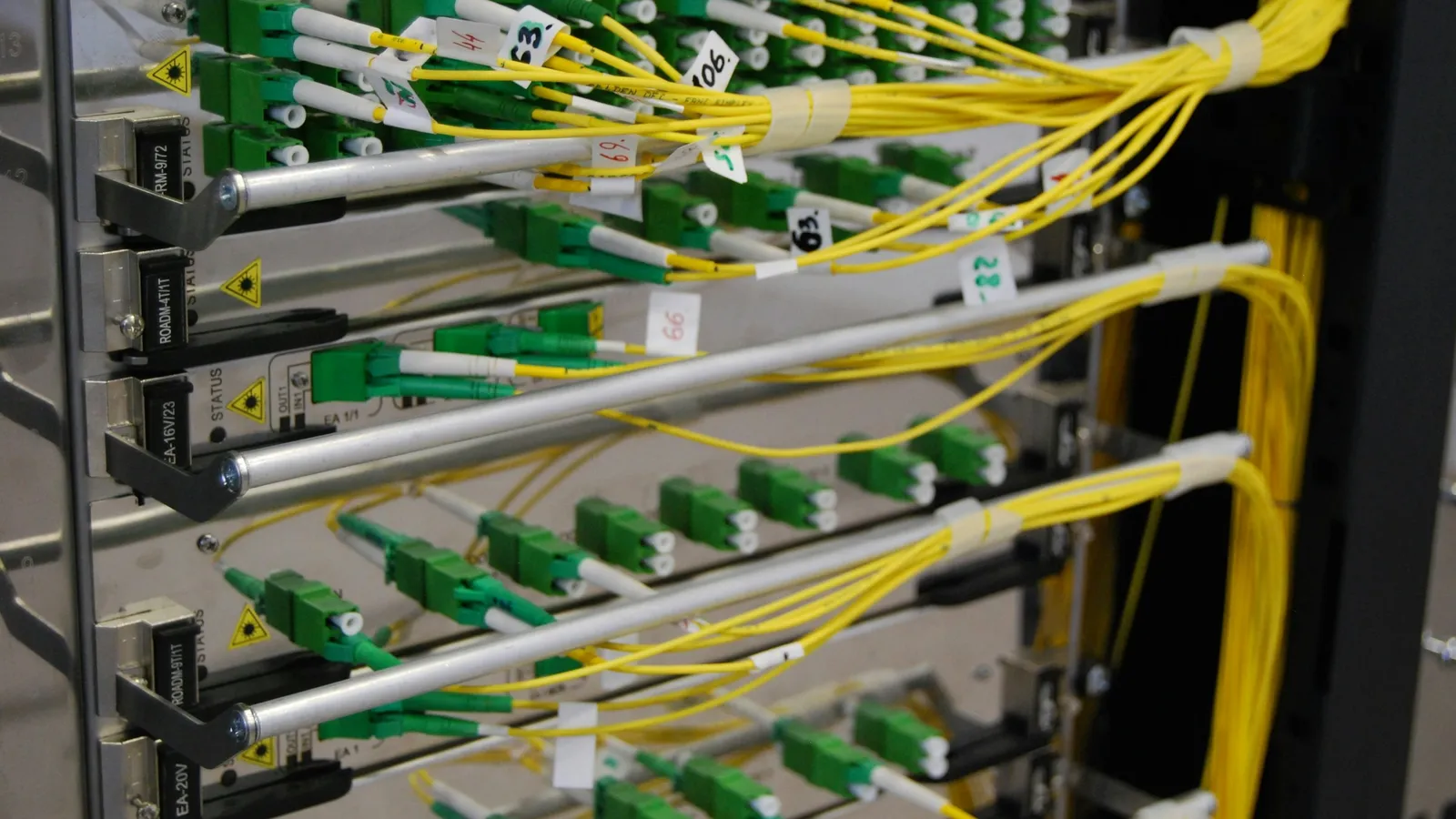 Server racks with rows of network cables