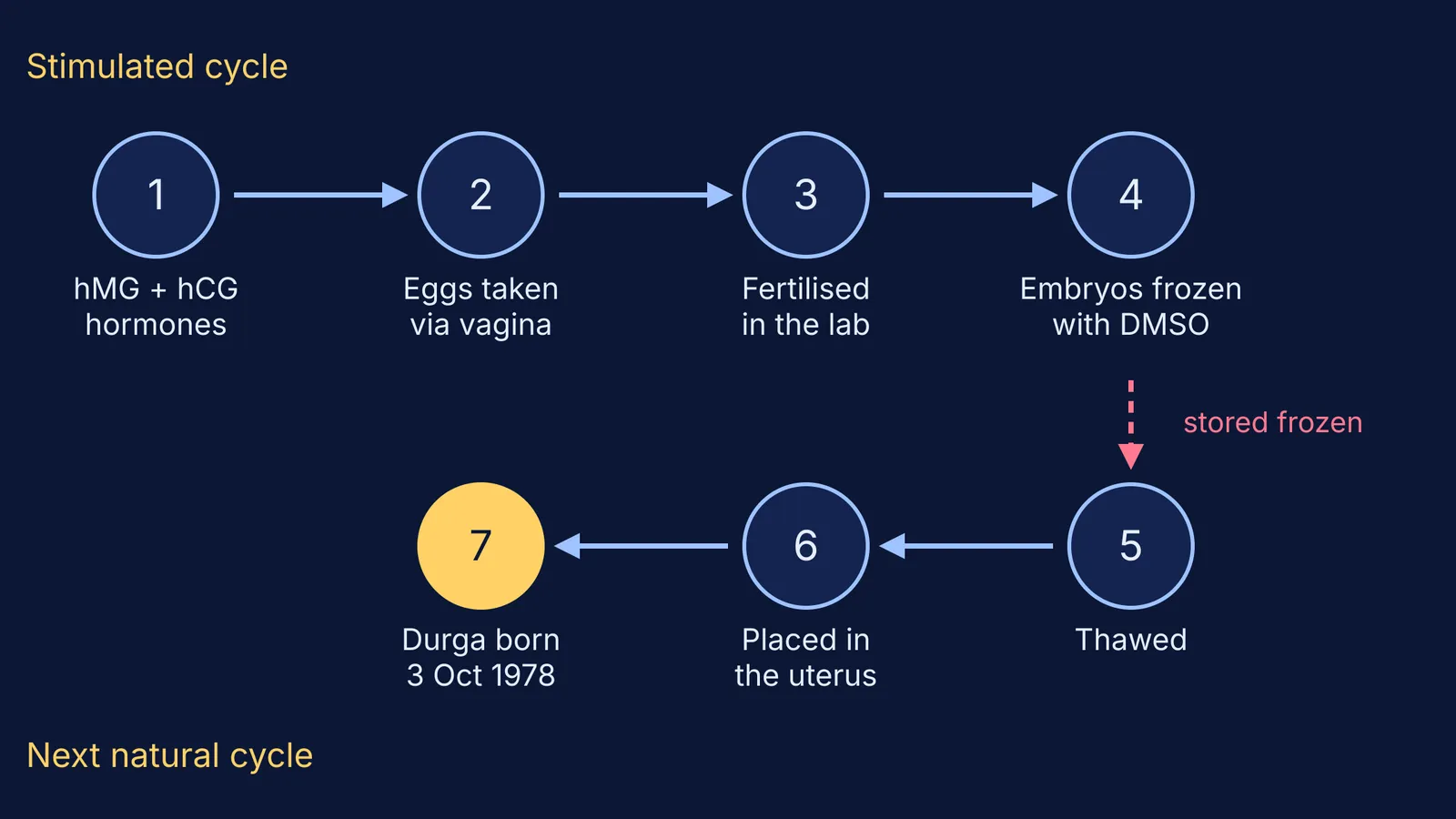 Seven-step diagram of Mukhopadhyay's 1978 IVF method, from hormones to Durga's birth