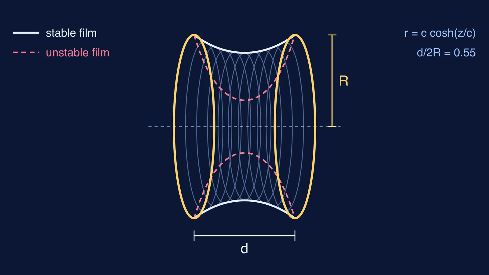 Side view of a soap-film catenoid between two rings, stable and unstable profiles