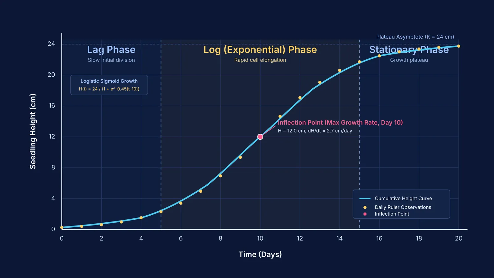 Sigmoid plant growth curve showing lag, log, and stationary phases over twenty days