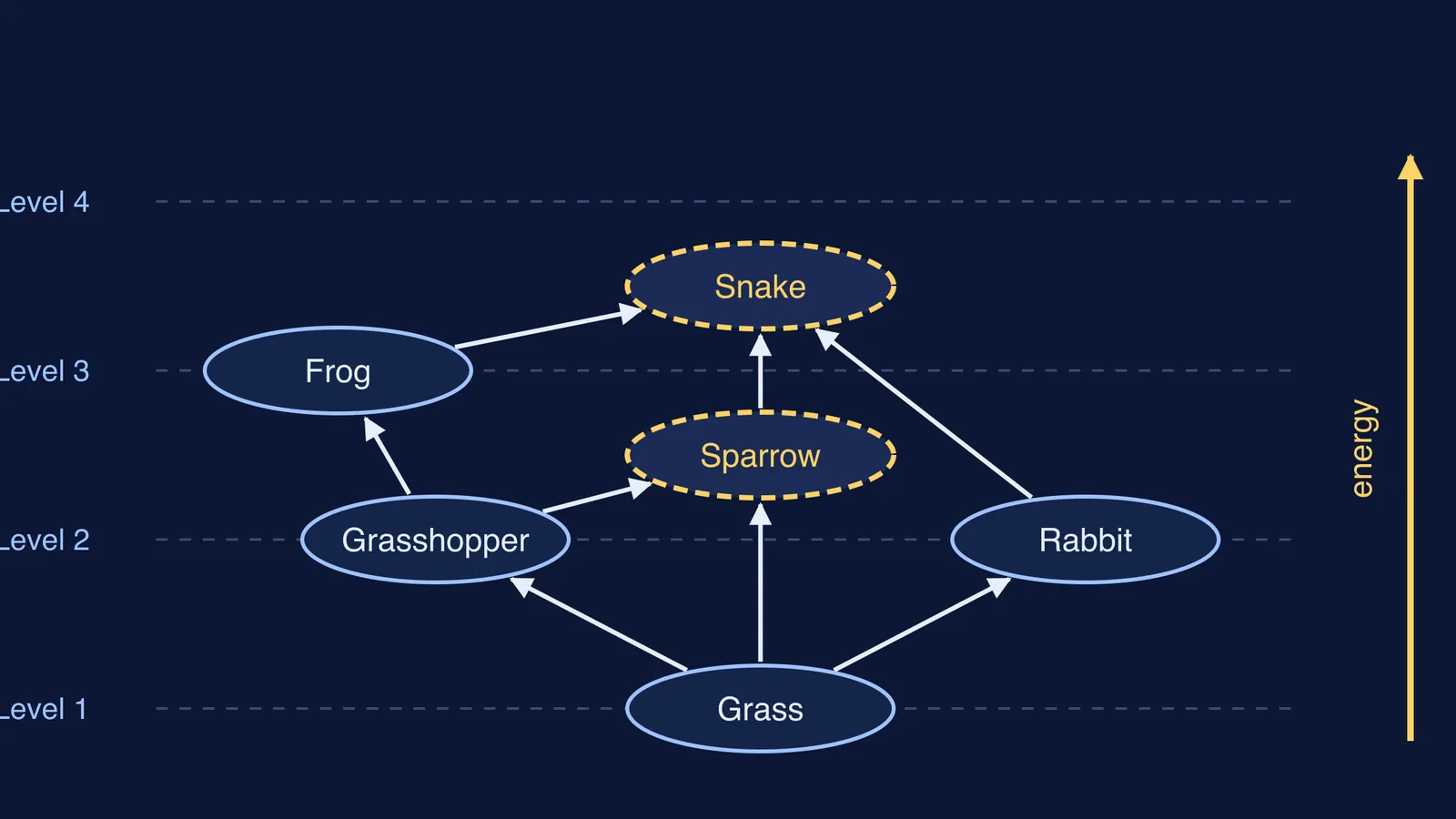 Six-organism food web with arrows pointing from food to eater, producers at bottom