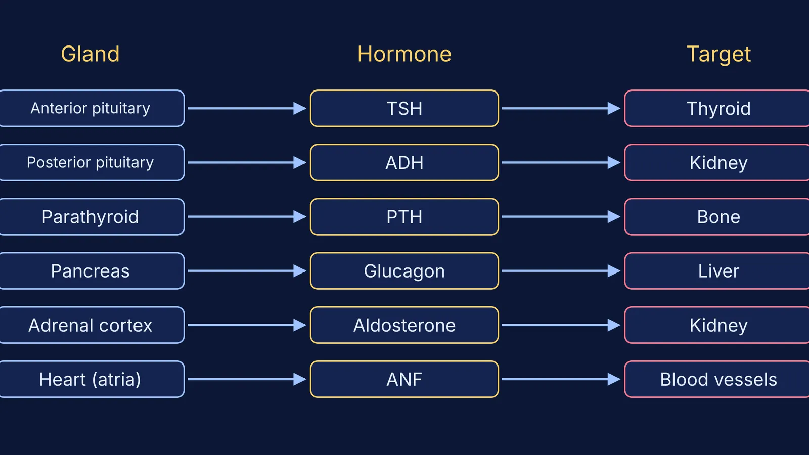 Six rows linking endocrine glands to hormones to target organs, such as ADH to kidney