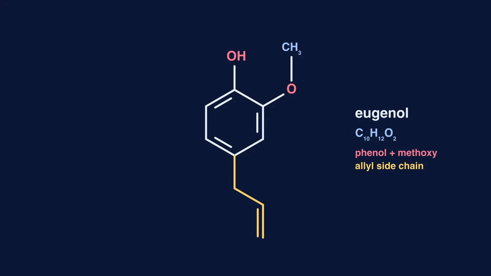 Skeletal formula of eugenol, a major compound in tulsi leaf oil