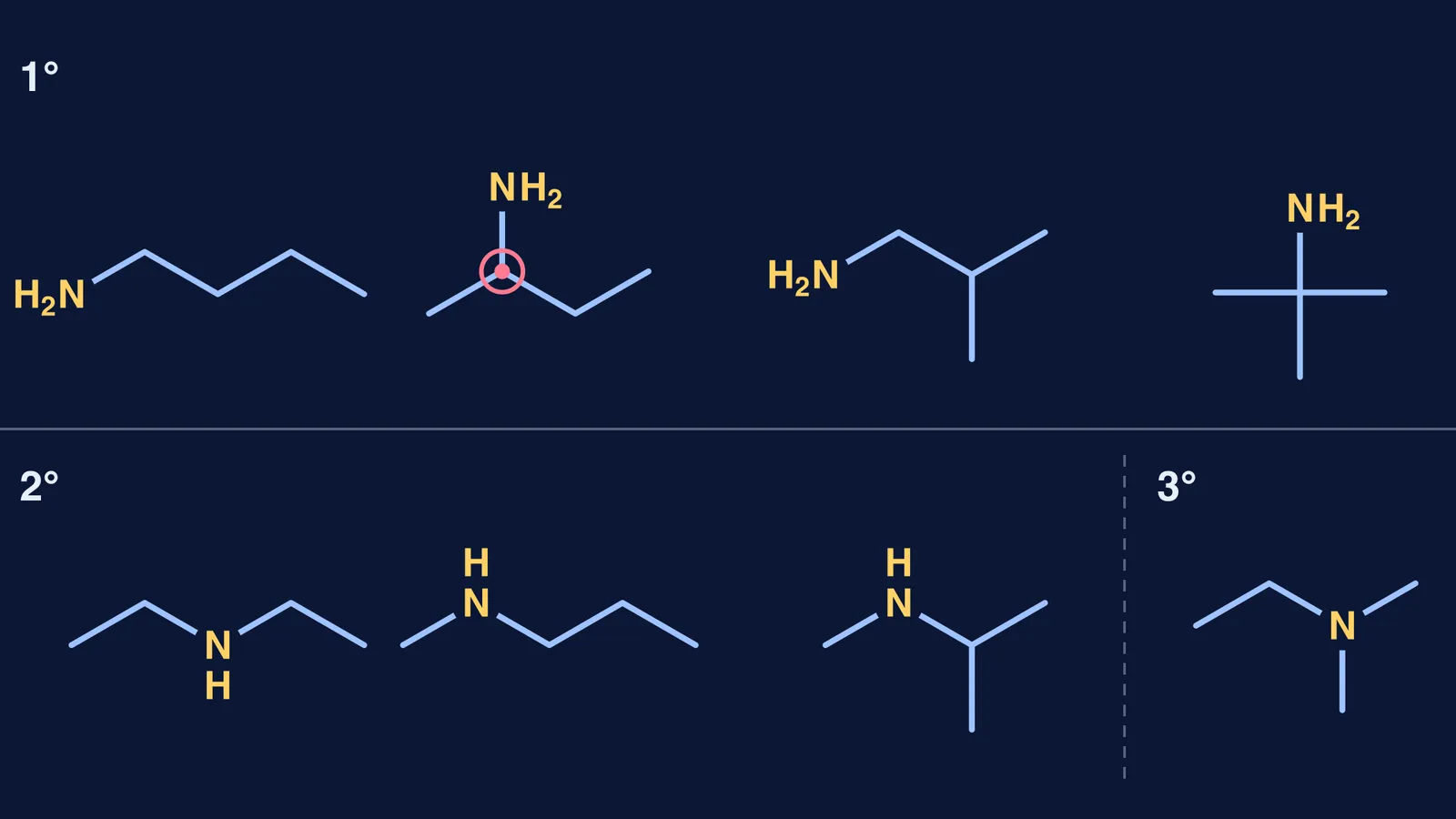 Skeletal formulas of the eight C4H11N amines grouped as primary, secondary, tertiary