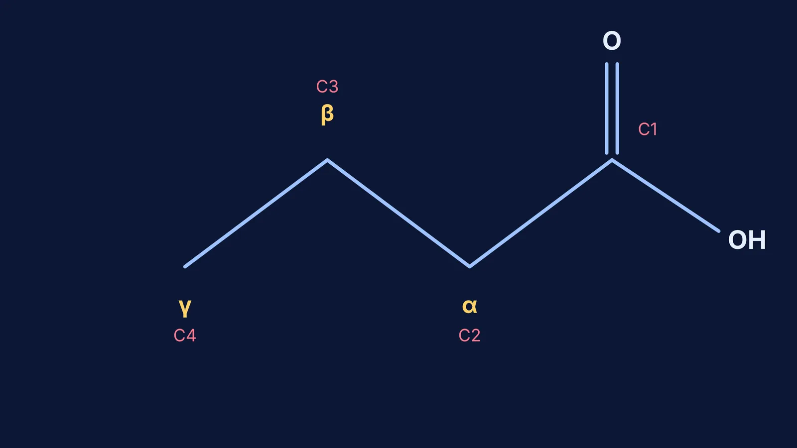 Skeletal structure of butyric acid with alpha, beta, and gamma carbons labelled