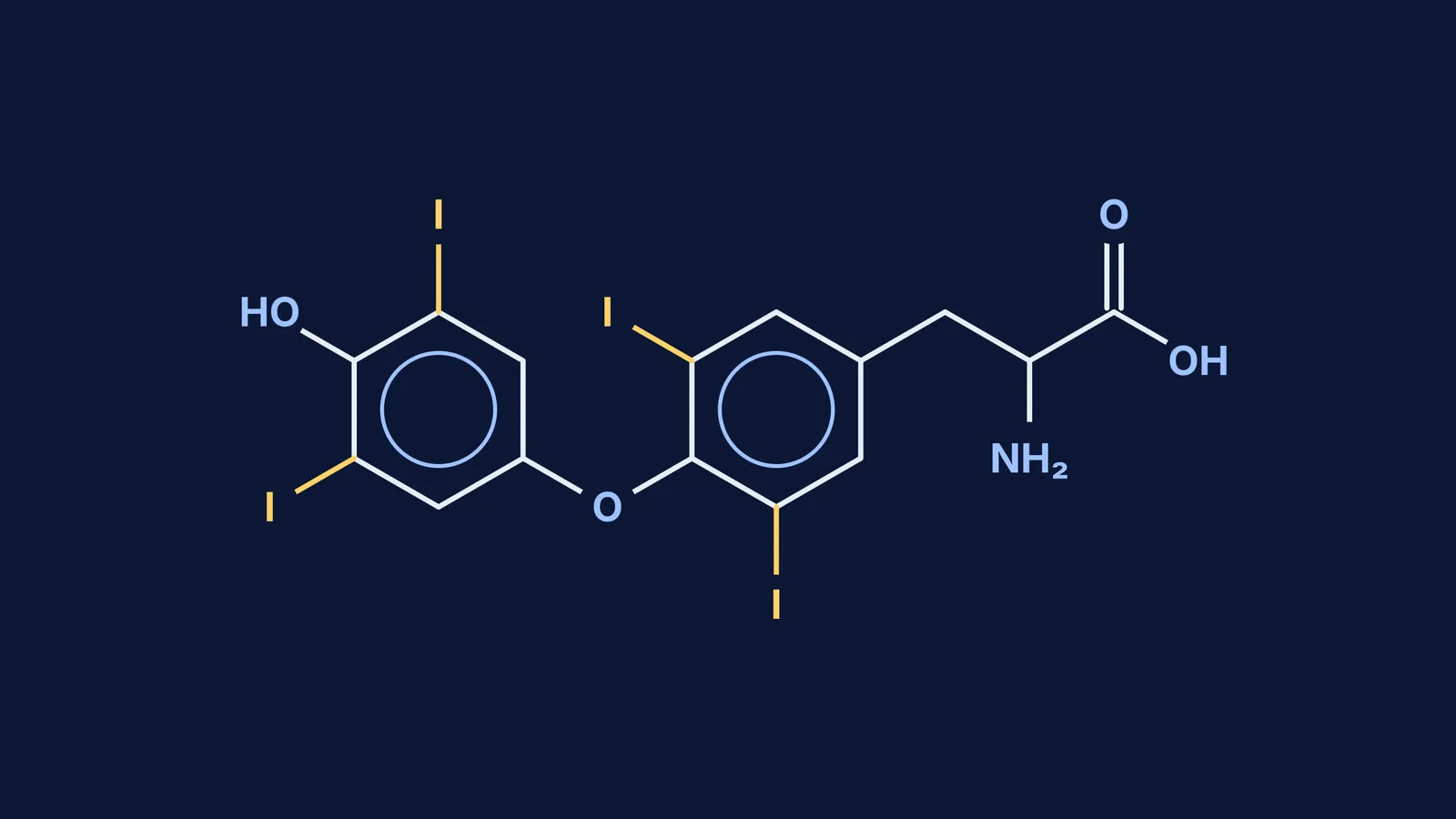 Skeletal structure of thyroxine with its four iodine atoms highlighted in yellow