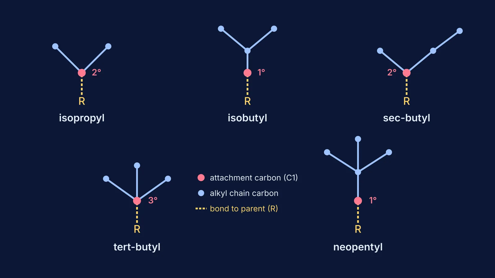 Skeletal structures and attachment carbon degrees for five common branched alkyl groups.