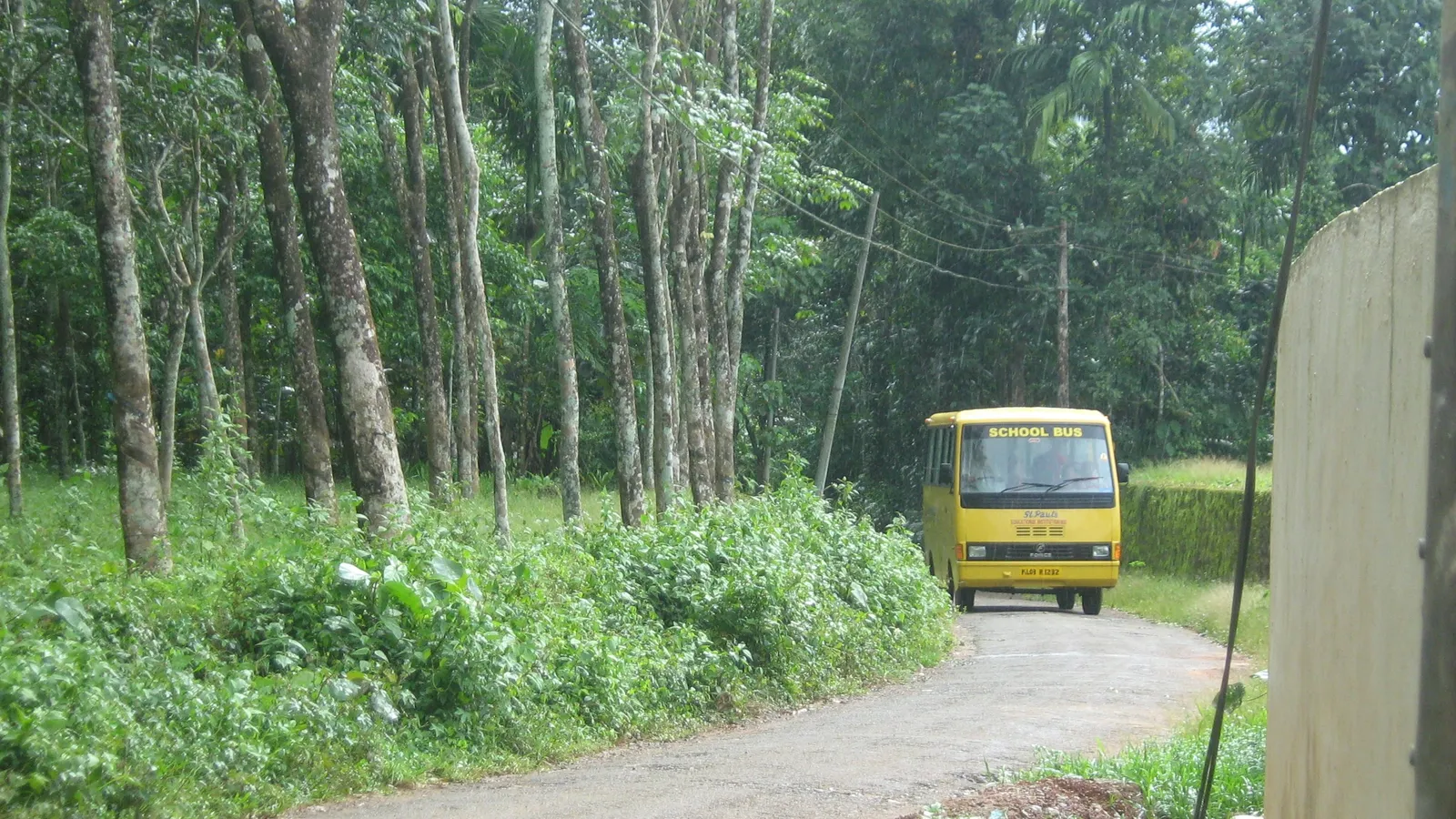 Small yellow school bus on a narrow tree-lined road in Kerala