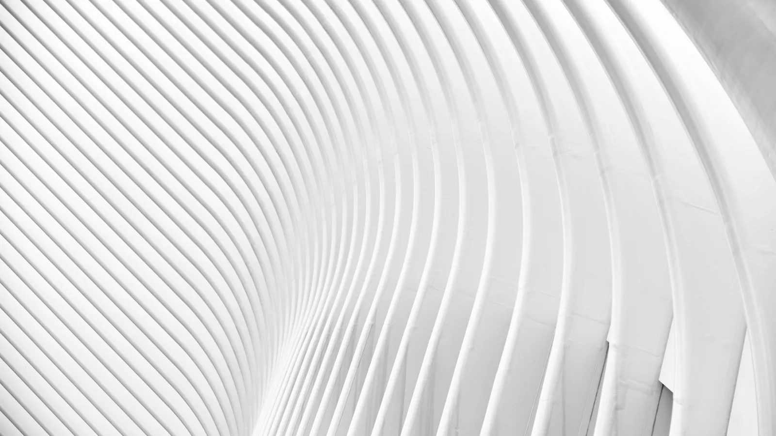 Smooth white curves sweeping across a surface