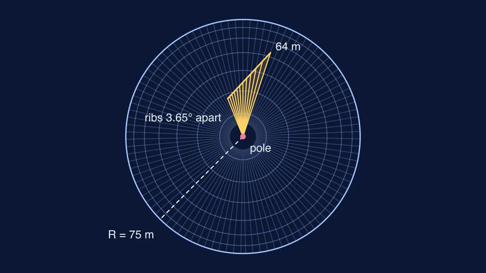 Sphere seen from above with a gold fan of shell ribs along its meridians