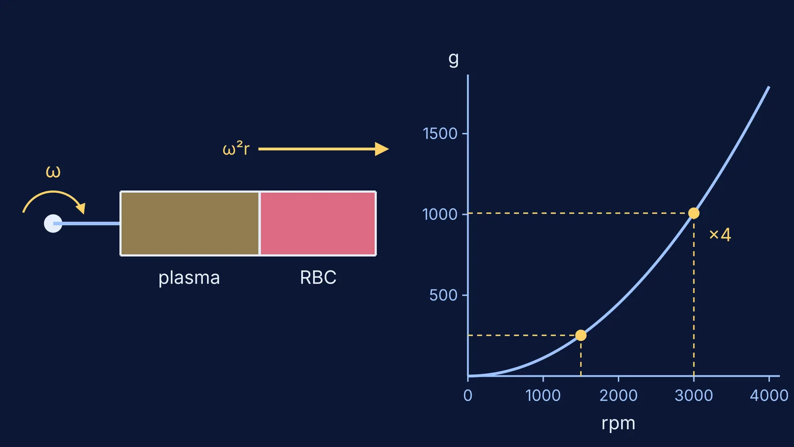 Spinning blood tube with red cells outward, beside a g-force versus rpm curve