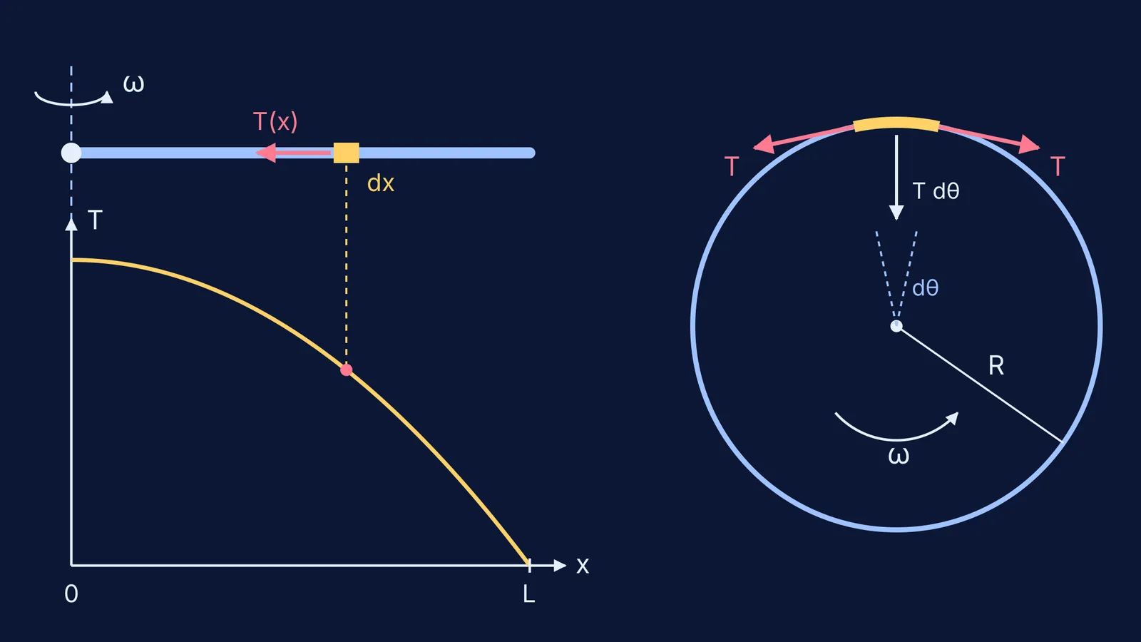 Spinning rod with its parabolic tension graph beside a spinning ring element