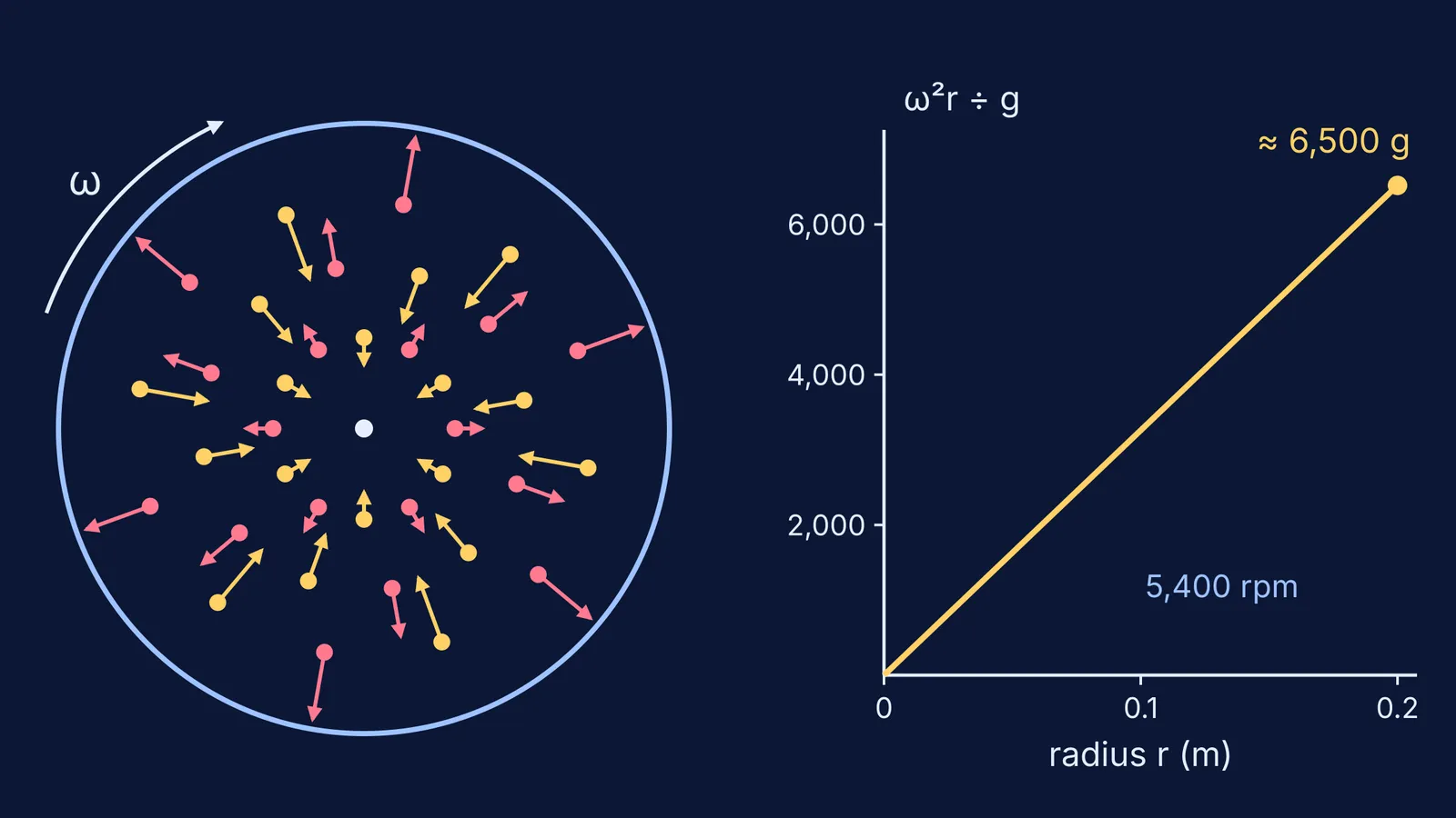 Spinning separator bowl with denser material moving outward, fat inward, and a g-force graph