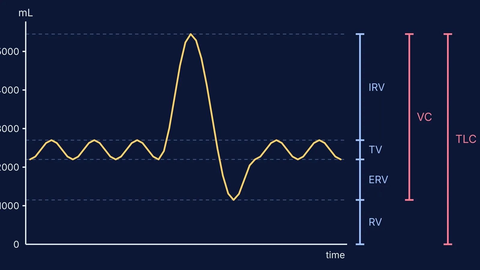 Spirogram showing tidal breaths, a maximal breath, and stacked lung volumes and capacities