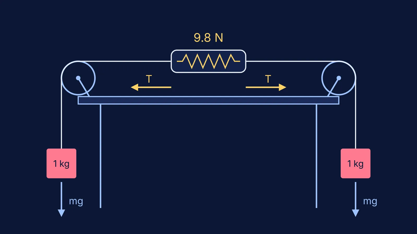 Spring balance between two equal hanging masses over two pulleys, reading 9.8 N