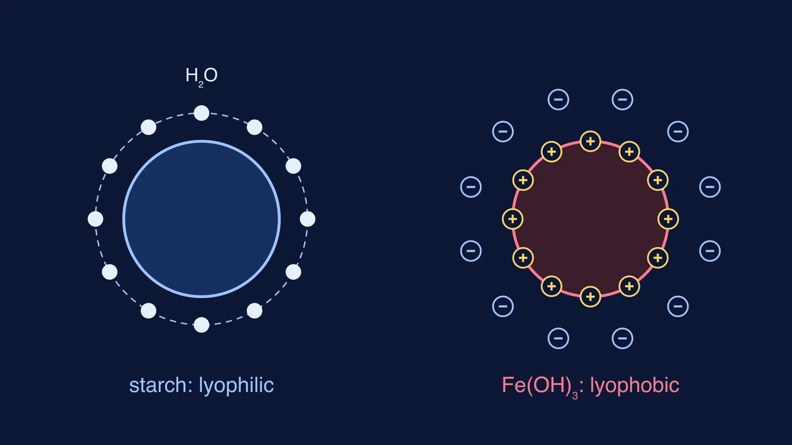 Starch particle in a water shell beside a positively charged ferric hydroxide particle