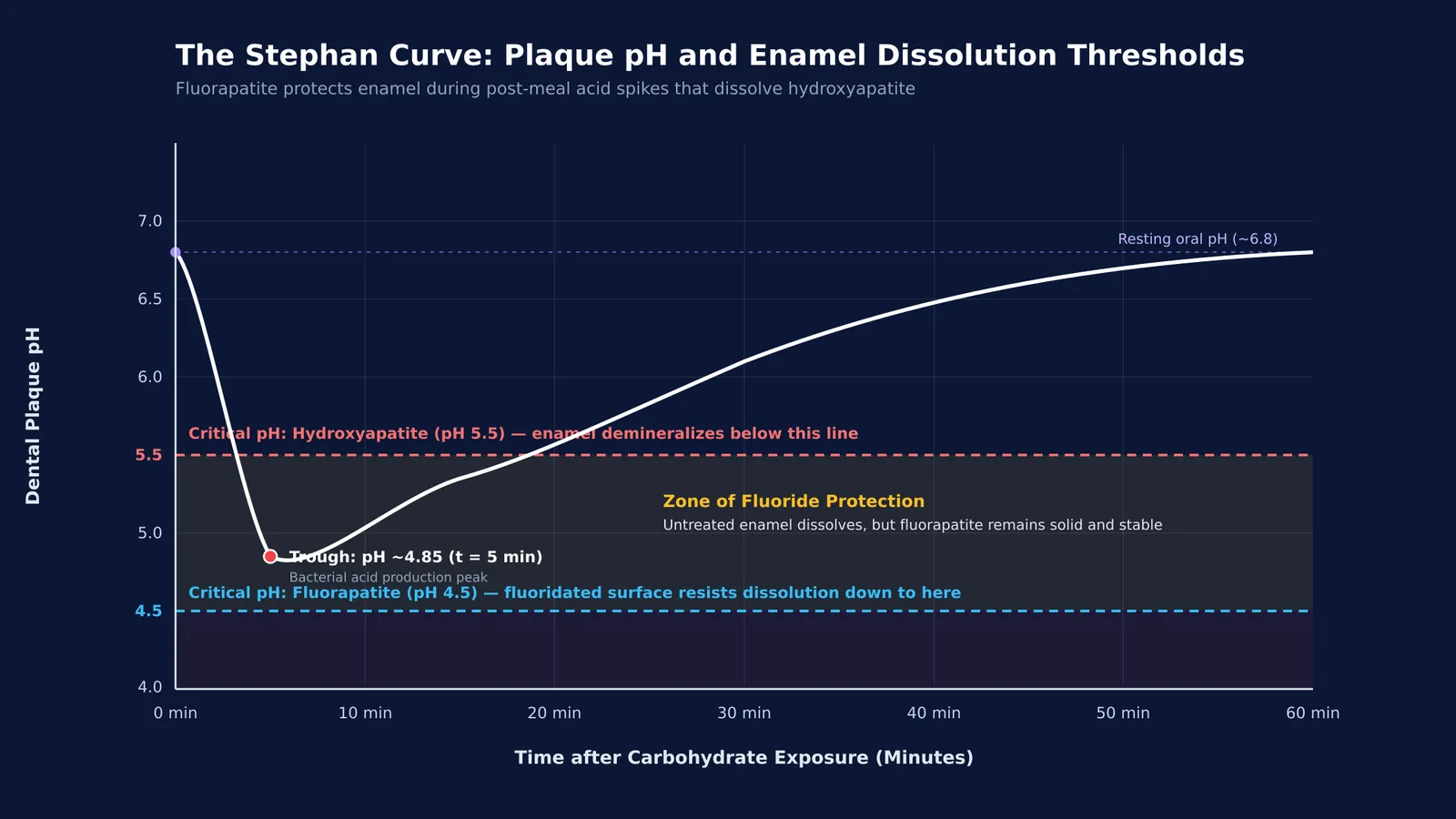 Stephan curve of plaque pH drop and recovery against enamel dissolution thresholds