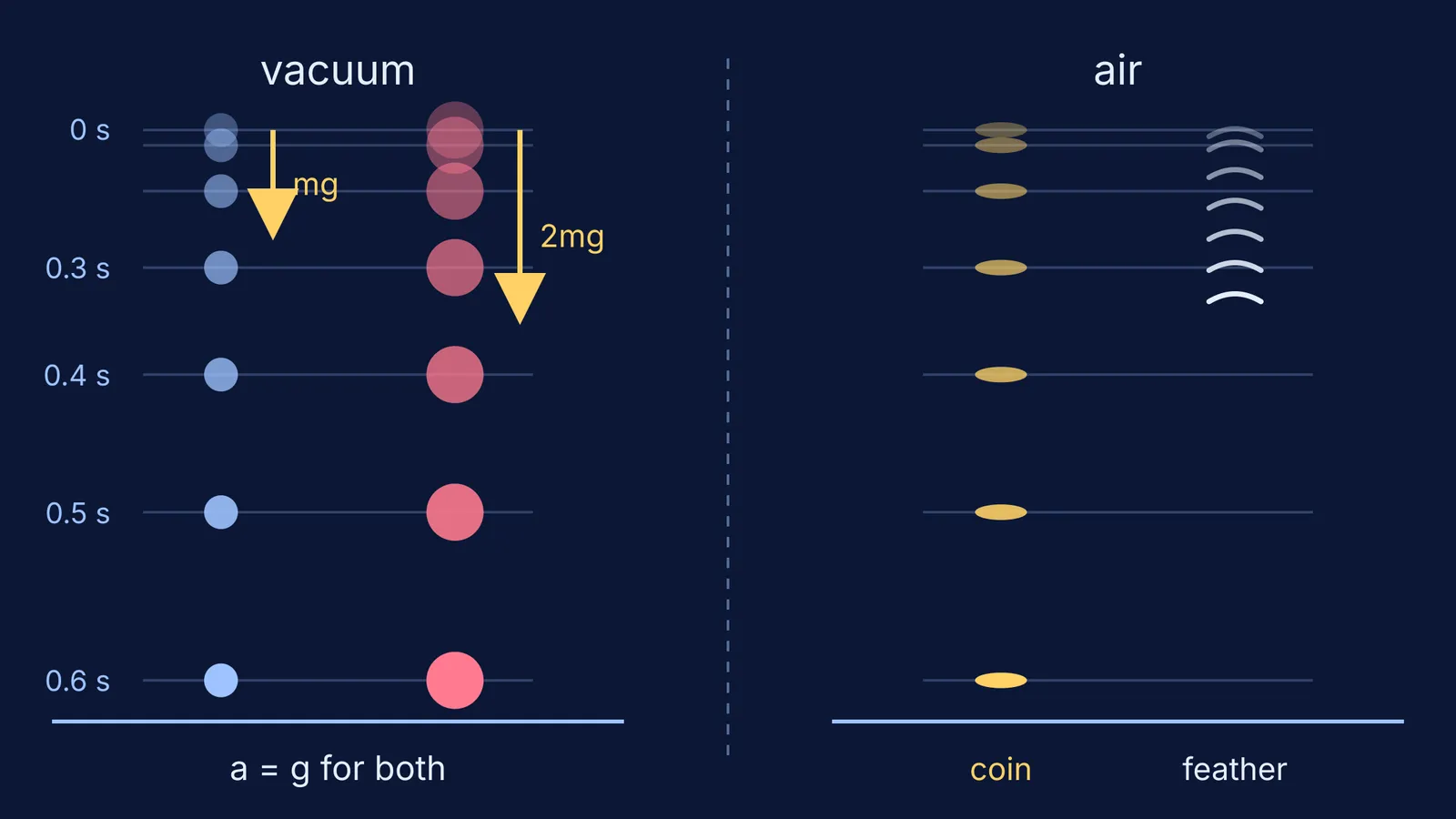 Strobe diagram: two masses fall together in vacuum; feather lags coin in air